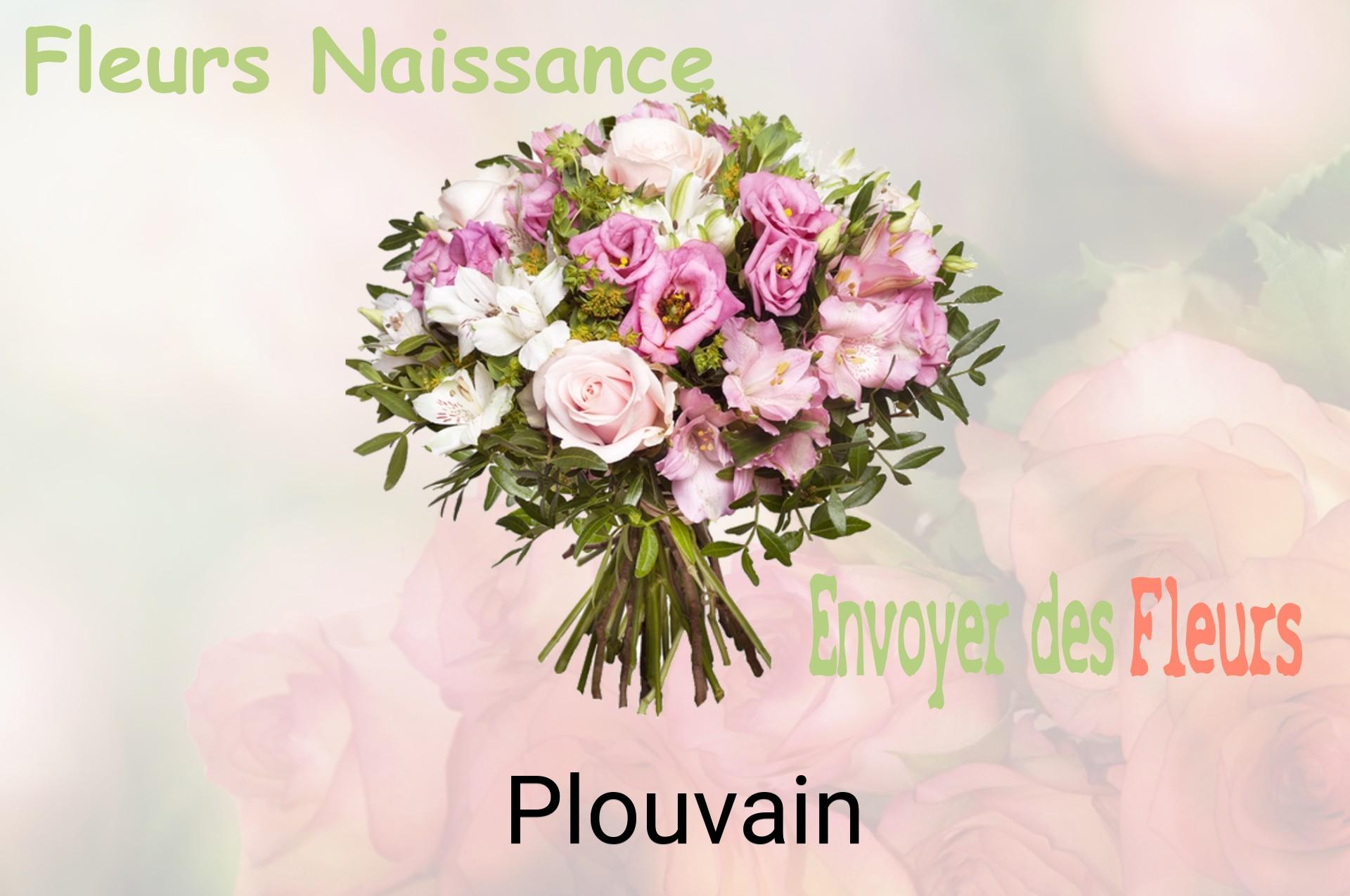 Bouquet de fleurs de naissance livré à Plouvain