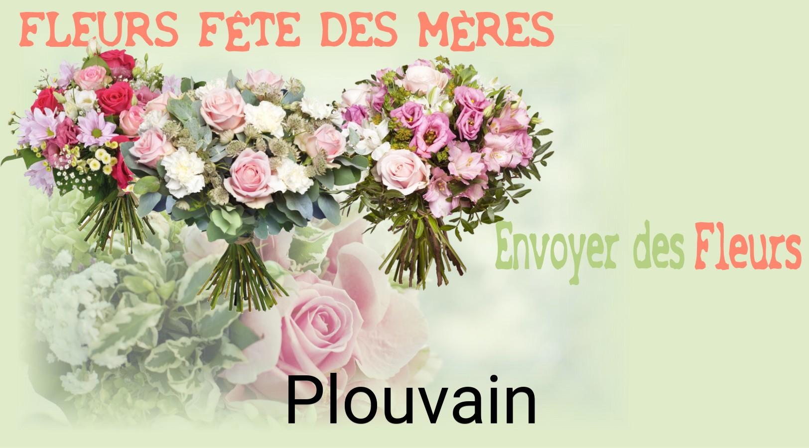 Bouquet de Fête des Mères livré à Plouvain